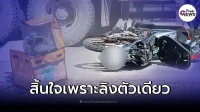 ลิงข้ามถนนเป็นเหตุ "หนุ่มไรเดอร์" ดับสลดกลางถนน