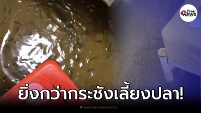 สาวแตกตื่น ปลานับพันตัว แหวกว่ายกลางห้องนอน