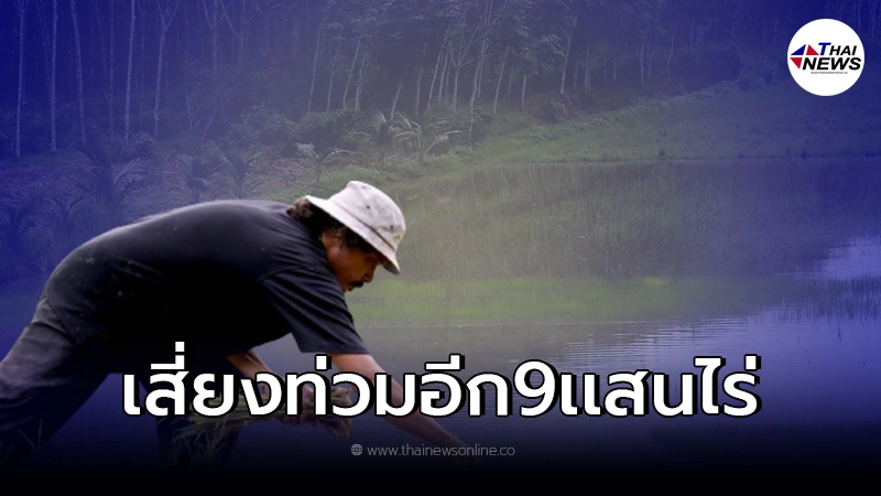 จิสด้า เผยข้อมูลดาวเทียม พื้นที่ปลูกข้าวที่ได้รับผลกระทบจากน้ำท่วม จิสด้า เผยข้อมูลดาวเทียม พื้นที่ปลูกข้าวที่ได้รับผลกระทบจากน้ำท่วม