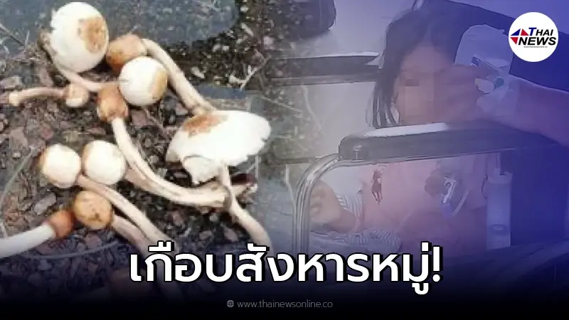 แม่บ้านลูกแปด เก็บเห็ดมาทำอาหาร ไม่รู้เป็นเห็ดพิษ เกือบวางยา 9 ชีวิตในบ้าน แม่บ้านลูกแปด เก็บเห็ดมาทำอาหาร ไม่รู้เป็นเห็ดพิษ เกือบวางยา 9 ชีวิตในบ้าน