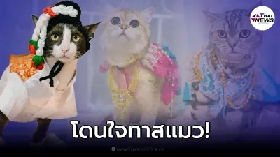 ทาสใจละลาย เผยภาพงานประกวด "หนูน้อยนพแมว" เหมียวแต่งชุดไทยสุดน่ารัก
