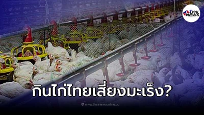 เตือนกินไก่ไทย"เสี่ยงมะเร็ง"เพราะได้รับยา ล่าสุดตรวจสอบแล้ว