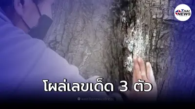 เลขเด็ดโค้งสุดท้าย 1/12/64 เจ้าแม่ตะเคียน ต้นตายพราย โผล่ 3 ตัวเต็มๆ เลขเด็ดโค้งสุดท้าย 1/12/64 เจ้าแม่ตะเคียน ต้นตายพราย โผล่ 3 ตัวเต็มๆ