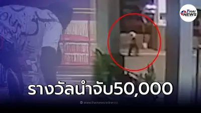 ตั้งรางวัลนำจับ 50,000  คนร้าย "ชิงทอง" กลางห้างดัง