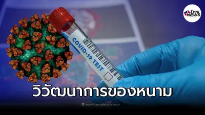 14 เรื่องน่ากังวล โควิดกลายพันธุ์ชนิดใหม่ B.1.X มีการวิวัฒนาการของหนาม