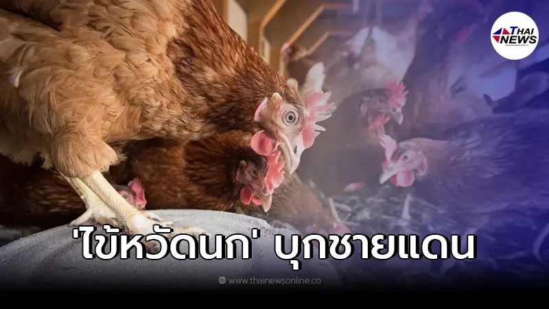 ไข้หวัดนก บุกแนวชายแดน แจ้งเตือนไทยเฝ้าสกัด