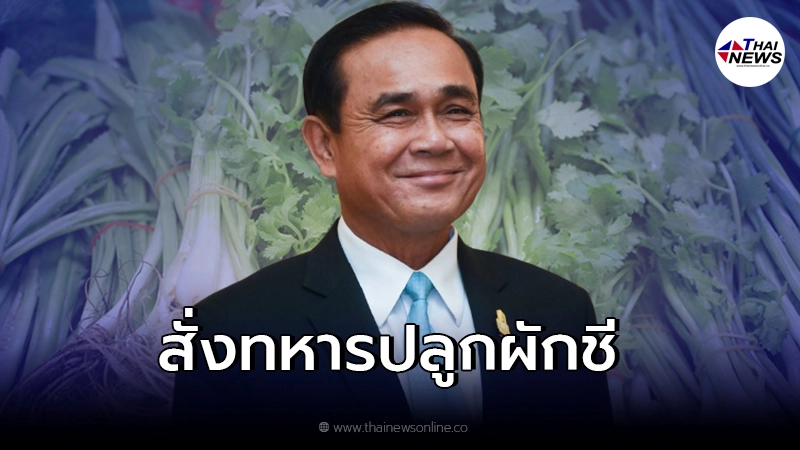 บิ๊กตู่ สั่ง ทหารปลูกผักชี ช่วยประชาชนหลังราคาพุ่ง บิ๊กตู่ สั่ง ทหารปลูกผักชี ช่วยประชาชนหลังราคาพุ่ง