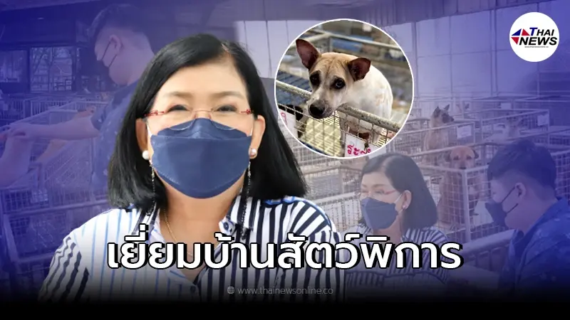 Pet พาเพลินพาเยี่ยม "บ้านหลังสุดท้ายของน้องหมา น้องแมวพิการ" Pet พาเพลินพาเยี่ยม "บ้านหลังสุดท้ายของน้องหมา น้องแมวพิการ"