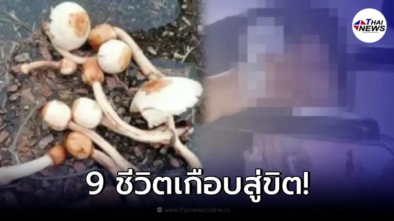 แม่เก็บเห็ดป่า เอามาทำอาหารให้คนทั้งบ้านกิน แม่เก็บเห็ดป่า เอามาทำอาหารให้คนทั้งบ้านกิน