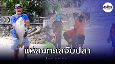 ปรากฎการณ์ "น้ำเบียด" ทำชาวบ้านหัวหิน แห่จับปลาทะเลขาย