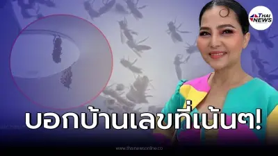 เปิดบ้านเลขที่ “สุนารี” ไม่กั๊ก หลังฝูงตัวต่อนับร้อย ทำรังในบ้าน วันหวยออก!