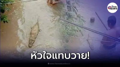 ชาวบ้านสุดหลอน ประสบภัยน้ำท่วมหนัก เห็นจระเข้ลอยมา แต่กลับนิ่งผิดปกติ