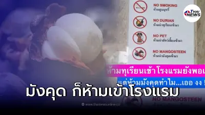 ไขข้อสงสัย ทำไมโรงแรมห้ามนำมังคุด เข้าห้องพักเด็ดขาด!