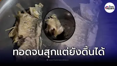 หนุ่มผวา ทอดปลาจนกรอบสุก แต่ยังดิ้นได้อย่างกับซอมบี้