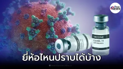 เปิดผลตรวจภูมิคุ้มกันจากวัคซีนโควิด19 ต่อไวรัสโอมิครอน แต่ละรูปแบบการฉีด
