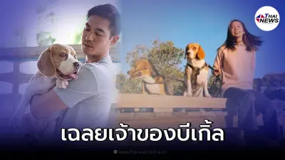 เจ้าของบีเกิ้ล โผล่เฉลยน้องหมาที่ "พลอย ภัทรากร" เล่นบนเตียงเป็นของใคร