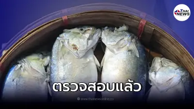 ว่อนข่าว สารกันบูดที่ผิวปลาทูนึ่ง หากสัมผัสเสี่ยงมะเร็งผิวหนัง
