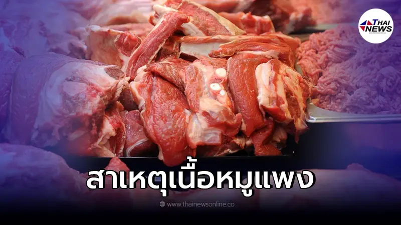 สมาคมผู้เลี้ยงสุกรฯ เผยเหตุผลทำไมราคา "เนื้อหมู" ในตลาดราคาแพง สมาคมผู้เลี้ยงสุกรฯ เผยเหตุผลทำไมราคา "เนื้อหมู" ในตลาดราคาแพง