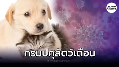 กรมปศุสัตว์ เตือน ให้สังเกตอาการสัตว์เลี้ยง เสี่ยงติดโควิด-19