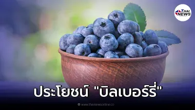 เผยประโยชน์ของ "บิลเบอร์รี่" ตัวช่วยบำรุงดวงตา