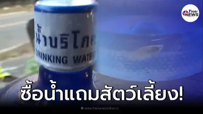 หนุ่มสุดงง ซื้อน้ำดื่มถังสีฟ้าซีลฝาอย่างดี แต่มีสิ่งมีชีวิตแหวกว่ายในถัง