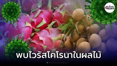 จีนพบไวรัสโคโรนา ในแก้วมังกรของเวียดนาม ลำไยไทยโดนด้วย จีนพบไวรัสโคโรนา ในแก้วมังกรของเวียดนาม ลำไยไทยโดนด้วย