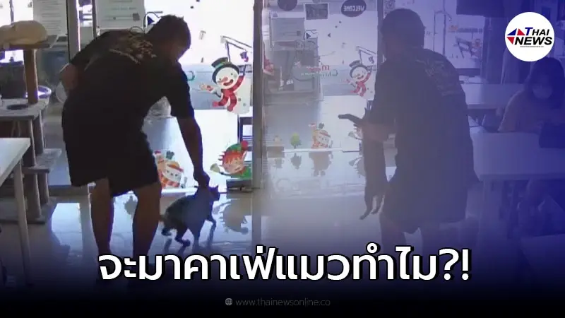เจ้าของโกรธจนมือสั่น ลูกค้าอุ้มแมวไปทิ้ง ร้านคาเฟ่แมวไม่ชอบแล้วมาทำไม เจ้าของโกรธจนมือสั่น ลูกค้าอุ้มแมวไปทิ้ง ร้านคาเฟ่แมวไม่ชอบแล้วมาทำไม