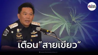 ป.ป.ส.เตือน สายเขียว ปลูกไม่ขออนุญาตติดคุกล้านเปอร์เซนต์!