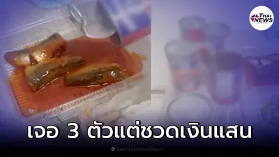 สาวน้ำตาจะไหล หลังเปิดปลากระป๋องมี 3 ตัว แต่เผลอทำพลาด เงินแสนหายไปกับตา