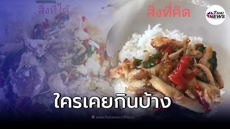 หนุ่มงง สั่งกะเพราปูมากิน เปิดออกดูลั่นถาม กะเพราแบบนี้ก็มีด้วย หนุ่มงง สั่งกะเพราปูมากิน เปิดออกดูลั่นถาม กะเพราแบบนี้ก็มีด้วย