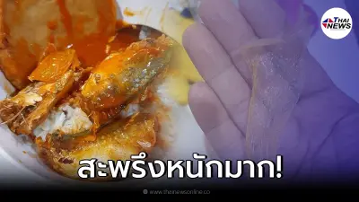 เปิดปลากระป๋อง เทลงจานเตรียมอร่อยๆ เจอสิ่งแปลกปลอม มองแว๊บแรกถึงกับตกใจ เปิดปลากระป๋อง เทลงจานเตรียมอร่อยๆ เจอสิ่งแปลกปลอม มองแว๊บแรกถึงกับตกใจ