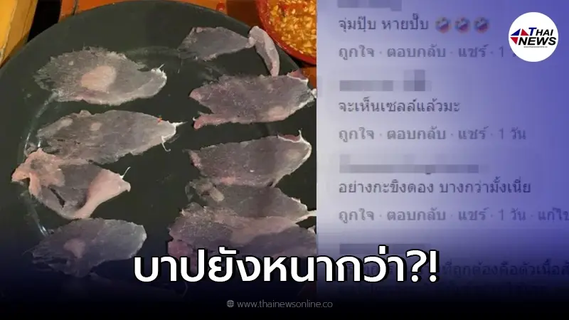 ส่องภาพ "หมูสไลด์ 2022" บางขั้นสุด จนไม่กล้าหายใจแรง กลัวจะปลิว!