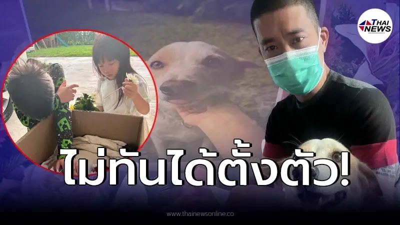 ร่ำไห้โฮ นิหน่า-แบงค์ พชร สูญเสียหนึ่งในสมาชิกในครอบครัว แบบไม่ทันตั้งตัว!