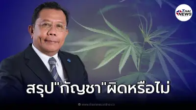 ศุภชัย ใจสมุทร ตอบชัด"ปลูกกัญชา"ผิดกฎหมายหรือไม่