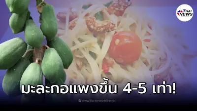พ่อค้าแม่ค้าโอด "มะละกอ" ราคาพุ่ง ถุง 10 กิโล ขึ้นราคาแบบก้าวกระโดด 4-5 เท่า