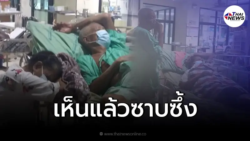 สองตายายสลับกันนอน สลับกันดูต้นทาง ทำชาวเน็ตประทับใจ สองตายายสลับกันนอน สลับกันดูต้นทาง ทำชาวเน็ตประทับใจ