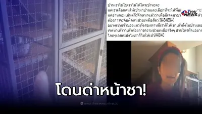 บ้านรับเลี้ยงแมว เจอดราม่า หลังมีคนถามพิกัด แต่กลับเจอตอกกลับไม่ไว้หน้า บ้านรับเลี้ยงแมว เจอดราม่า หลังมีคนถามพิกัด แต่กลับเจอตอกกลับไม่ไว้หน้า