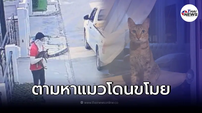 ประกาศตามแมว "น้องจ๋อยจ๋า" โดนพนง.ส่งของอุ้มขึ้นรถ แต่ไม่บอกปล่อยที่ไหน ประกาศตามแมว "น้องจ๋อยจ๋า" โดนพนง.ส่งของอุ้มขึ้นรถ แต่ไม่บอกปล่อยที่ไหน