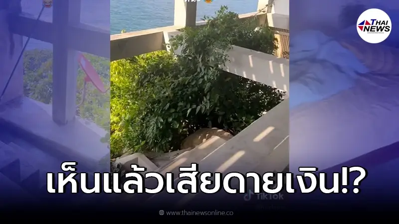 สภาพผีสิง! สาวรีวิว โรงแรมติดทะเล ราคา 2 หมื่นบาท ลั่น ดูร้าง น่ากลัวมาก สภาพผีสิง! สาวรีวิว โรงแรมติดทะเล ราคา 2 หมื่นบาท ลั่น ดูร้าง น่ากลัวมาก