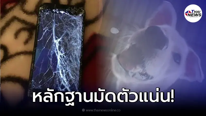 สาวสุดงง มือถือพัง หน้าจอแตก น้ำเข้าไม่มีสาเหตุ ความจริงเปิดเผยหลังส่งซ่อม สาวสุดงง มือถือพัง หน้าจอแตก น้ำเข้าไม่มีสาเหตุ ความจริงเปิดเผยหลังส่งซ่อม