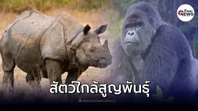 ส่องสัตว์ 10 สายพันธุ์ สัตว์ใกล้สูญพันธุ์ ปี 2022