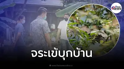 สาวสุดทน จระเข้โผล่บ่อเลี้ยงปลากินปลาหมดเกลี้ยง นานนับเดือน ไร้คนช่วยจับ สาวสุดทน จระเข้โผล่บ่อเลี้ยงปลากินปลาหมดเกลี้ยง นานนับเดือน ไร้คนช่วยจับ