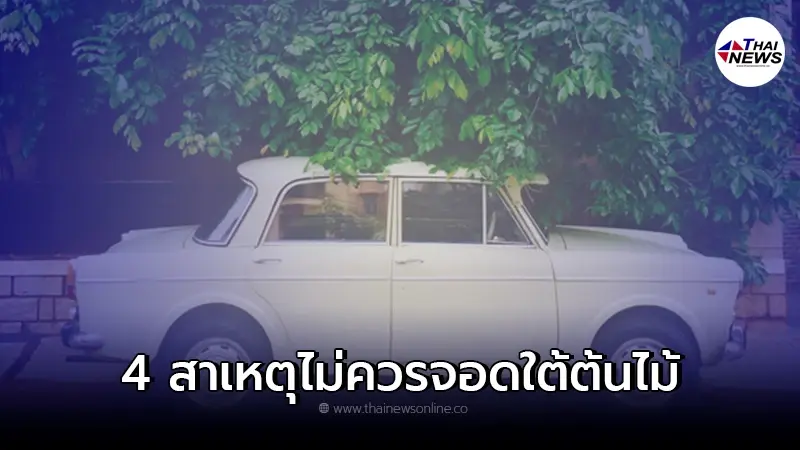 4 สาเหตุไม่ควรจอดรถยนต์ใต้ต้นไม้ จะส่งผลเสียต่อรถยนต์ของคุณเป็นอย่างมาก 4 สาเหตุไม่ควรจอดรถยนต์ใต้ต้นไม้ จะส่งผลเสียต่อรถยนต์ของคุณเป็นอย่างมาก