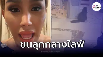 "แอนนา" ตกใจอยู่ดีๆ แมว 3 ตัว หันหน้าไปจ้องทางเดียวกัน