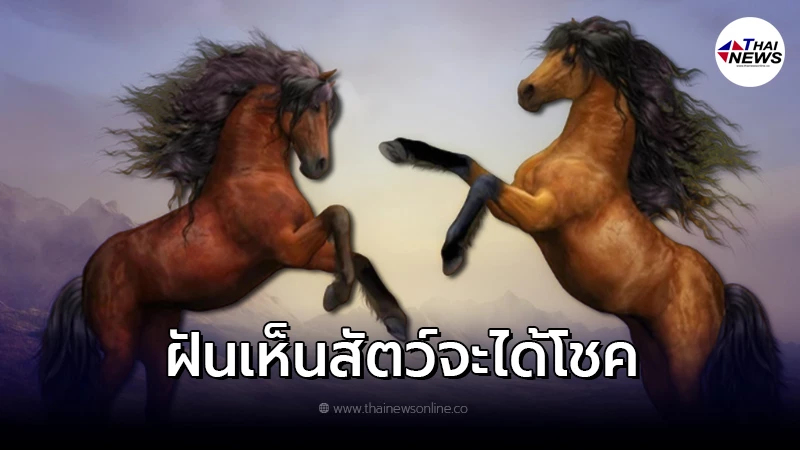 .ฝันเห็นสัตว์ 5 ชนิด ความเชื่อโบราณว่าไว้จะมีโชค พร้อมเลขให้โชค.