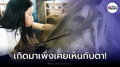 "หนิง ปณิตา" ทำบุญไถ่ชีวิตโค - กระบือ ส่งผลบุญให้ "แตงโม นิดา"