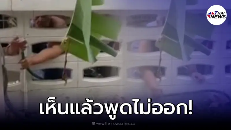 เจ้าของบ้านเอ็นดู ป้าข้างบ้านชอบขโมยน้ำใช้ ชาวเน็ตเห็นต่างนี่มันขโมยชัดๆ