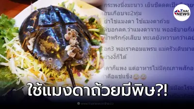 ร้านอาหารดัง เสิร์ฟยำไข่แมงดา แต่ใช้แมงดาถ้วยมีพิษ พอแจ้งร้านกลับโดนด่า
