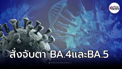 โควิด-19 สายพันธุ์ย่อย BA.4 - BA.5 องค์การอนามัยโลก เตือนจับตามองเป็นพิเศษ โควิด-19 สายพันธุ์ย่อย BA.4 - BA.5 องค์การอนามัยโลก เตือนจับตามองเป็นพิเศษ