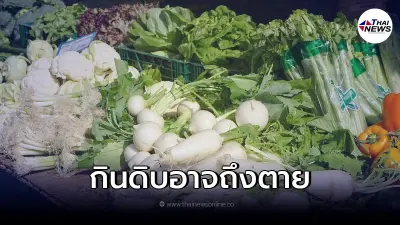 เตือนผัก 5 ชนิด "ไม่ควรกินดิบ" เสี่ยงอันตรายอาจถึงชีวิตได้ เตือนผัก 5 ชนิด "ไม่ควรกินดิบ" เสี่ยงอันตรายอาจถึงชีวิตได้